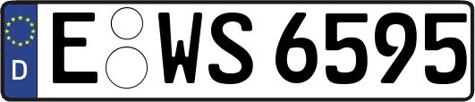 E-WS6595