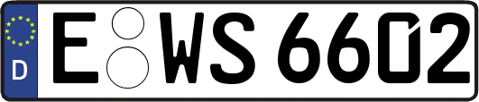 E-WS6602