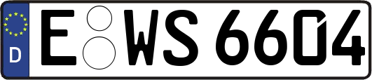 E-WS6604