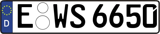 E-WS6650