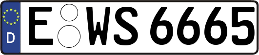 E-WS6665