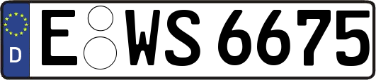 E-WS6675