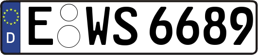 E-WS6689