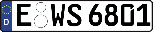 E-WS6801