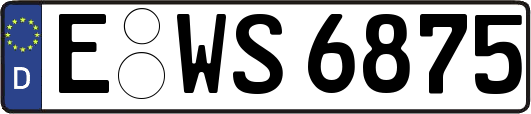 E-WS6875