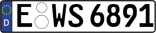 E-WS6891