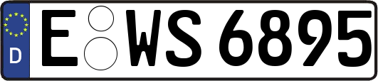 E-WS6895