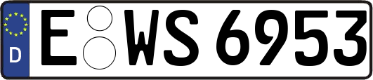 E-WS6953