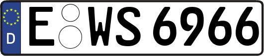 E-WS6966
