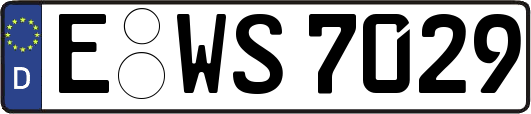 E-WS7029