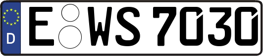 E-WS7030
