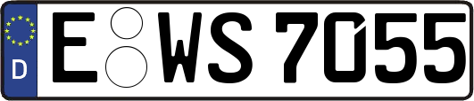 E-WS7055