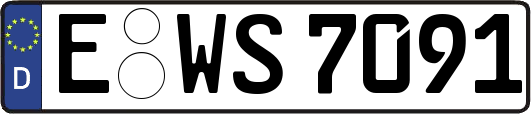 E-WS7091