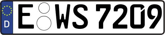 E-WS7209