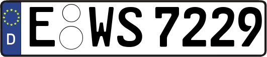 E-WS7229