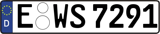 E-WS7291