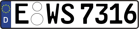 E-WS7316