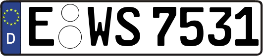 E-WS7531
