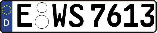 E-WS7613