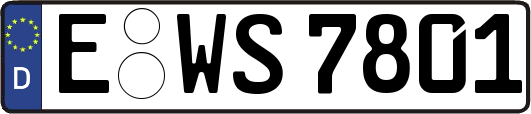 E-WS7801
