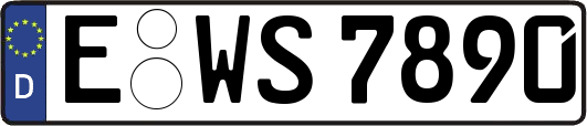 E-WS7890