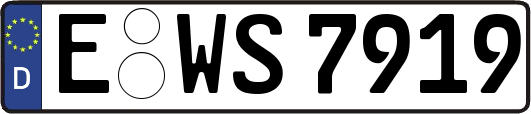 E-WS7919