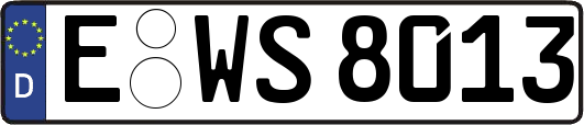 E-WS8013
