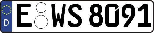 E-WS8091