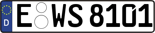 E-WS8101