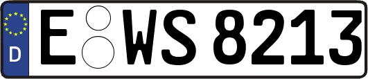 E-WS8213