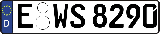 E-WS8290