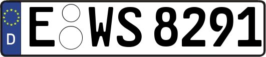 E-WS8291