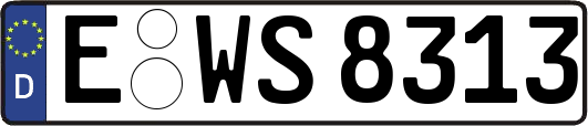 E-WS8313