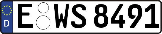 E-WS8491