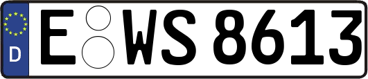 E-WS8613
