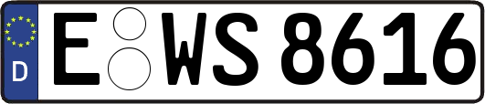 E-WS8616