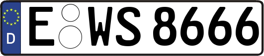 E-WS8666