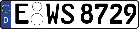 E-WS8729
