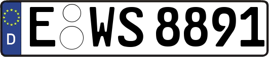 E-WS8891
