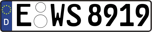 E-WS8919