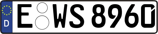 E-WS8960