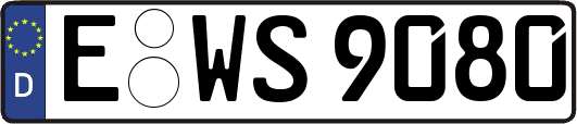 E-WS9080