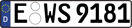 E-WS9181