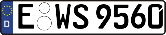 E-WS9560