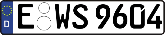 E-WS9604