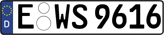 E-WS9616