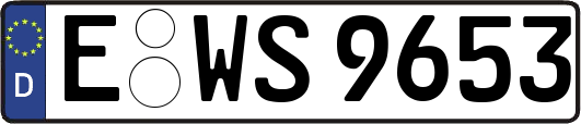 E-WS9653