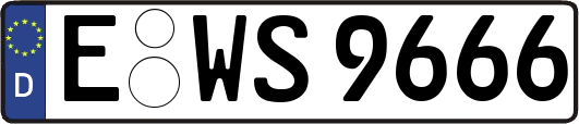 E-WS9666