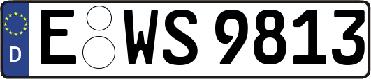 E-WS9813
