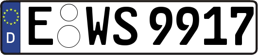 E-WS9917